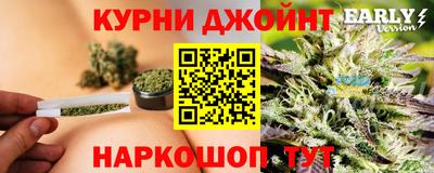 гидра Рузаевка