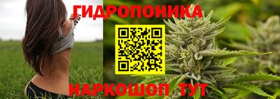 гидра Рузаевка