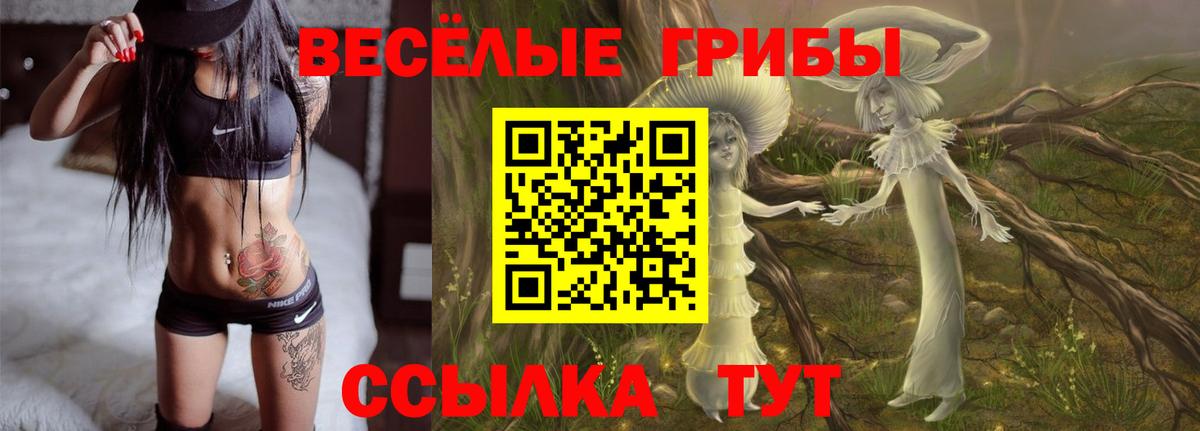 Псилоцибиновые грибы мицелий  Вход с VPN  Северобайкальск  Галлюциногенные грибы мухоморы 